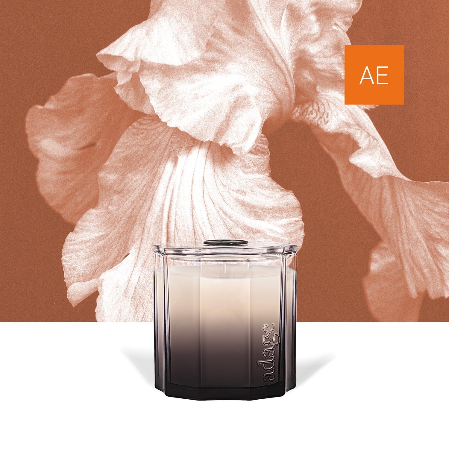 aétai collection - Image 10