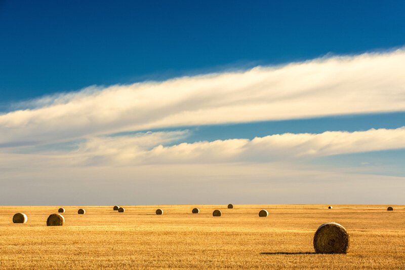 GREAT PLAINS Signature Collection - Image 10